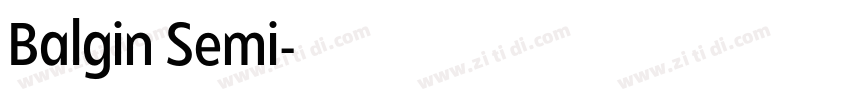 Balgin Semi字体转换 Balgin Semi字体转换